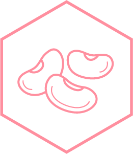 Illustration de l&rsquo;ingr&eacute;dient haricot blanc