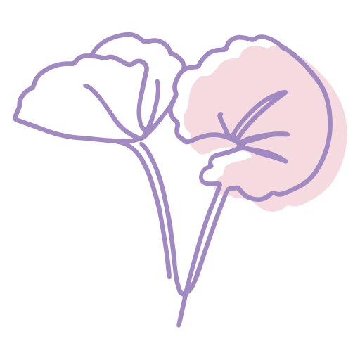 Illustration de la plante gotu kola