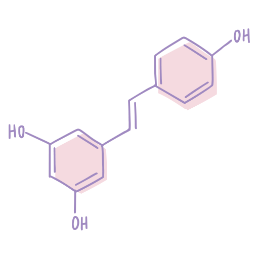 Illustration du resv&eacute;ratrol encapsul&eacute;